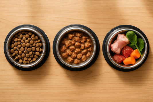 Trockenfutter vs. Nassfutter vs. BARF – was passt zu meinem Hund?