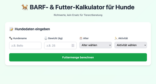 Richtige Futtermenge für deinen Hund – Leitfaden mit Futterrechner